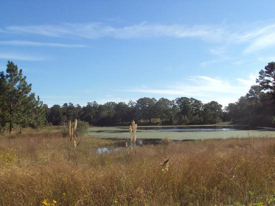 Birdsong Nature Center